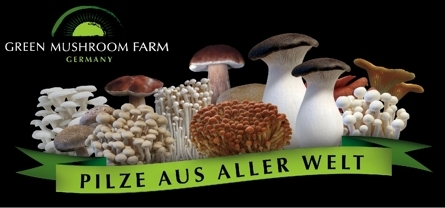 Green Mushroom Farm Germany Teilnahme an der Fruit Logistica 2011 noch ungewiss. Green Mushroom Farm Germany Teilnahme an der Fruit Logistica 2011 noch ungewiss.