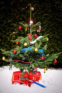 Radteile unterm Weihnachtsbaum