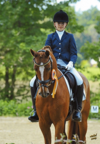 5. Sportpony-Verkaufstage:    Tokio für 40.000 Euro nach Spanien verkauft