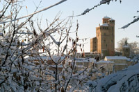 Langhe, Piemonte Winter Langhe, Piemonte Winter