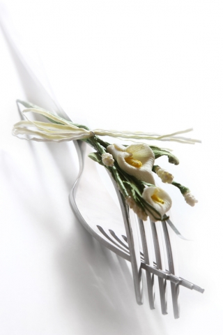 BIO Catering für das Symposium des Bundesamtes für Lebensmittelsicherheit und Verbraucherschutz