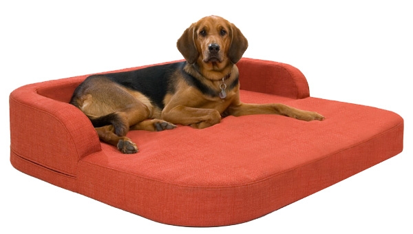 Neue elegante viskoelastische Hundekissen-Hundebetten Neue elegante viskoelastische Hundekissen-Hundebetten