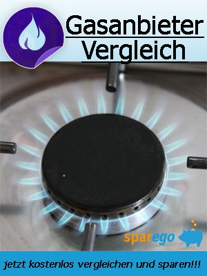 Wintereinbruch in Deutschland - zu Beginn der Heizperiode prüfen ob ein Gasanbieterwechsel möglich i Wintereinbruch in Deutschland - zu Beginn der Heizperiode prüfen ob ein Gasanbieterwechsel möglich i