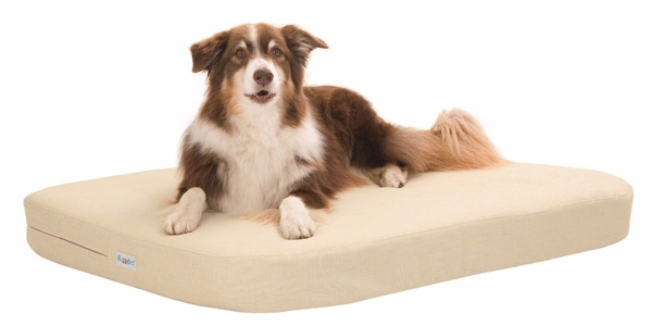 Neue, orthopädische Hundekissen