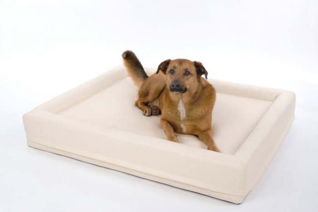 Gesunde Wasserbetten für Hunde Gesunde Wasserbetten für Hunde