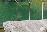 Naturschwimmteich am Darß Naturschwimmteich am Darß