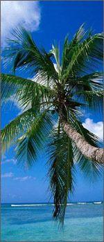 Urlaubsvertretung Flatrate Urlaubsvertretung Flatrate