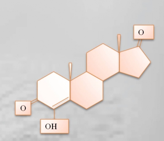 V+ GmbH&Co. Fonds 2 und 3 KG jetzt an CURADIS GmbH beteiligt: Erfolgreiche Heilversuche mit innovati V+ GmbH&Co. Fonds 2 und 3 KG jetzt an CURADIS GmbH beteiligt: Erfolgreiche Heilversuche mit innovati