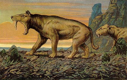 Krallentiere, Menschenaffen und Säbelzahntiger Krallentiere, Menschenaffen und Säbelzahntiger