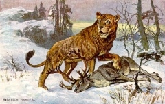 Deutschlands König der Tiere im Eiszeitalter Deutschlands König der Tiere im Eiszeitalter