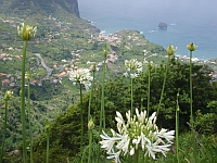 Blick auf das Meer in Madeira