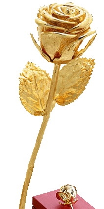 Historische Zeitungen, eine goldene Rose und andere nette Geschenke Historische Zeitungen, eine goldene Rose und andere nette Geschenke