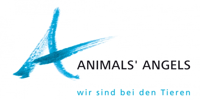 Online-Portal www.mit-Pferden-reisen.de wird Online-Portal www.mit-Pferden-reisen.de wird