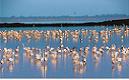 Die Lagunenstadt Orbetello ist umgeben von Naturparks.