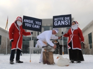 Angie, yes you can. Rette die Weihnachtsgans!