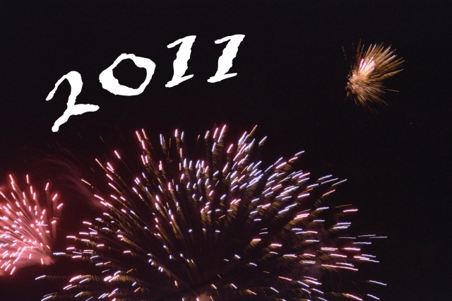 Was erwartet den Verbraucher 2011?