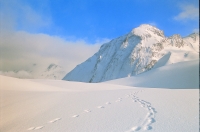 unberührte Natur in der Nationalparkregion Hohe Tauern unberührte Natur in der Nationalparkregion Hohe Tauern