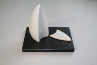 Westerwald-Lahn-Innovations-Sonderpreis Westerwald-Lahn-Innovations-Sonderpreis