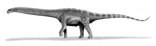 Argentinosaurus war der größte Dinosaurier Argentinosaurus war der größte Dinosaurier