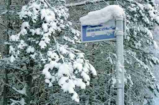 Wenn der Trip in die Sonne im Schneetreiben endet... Wenn der Trip in die Sonne im Schneetreiben endet...