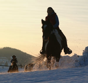 Aufgalopp im Pulverschnee Aufgalopp im Pulverschnee