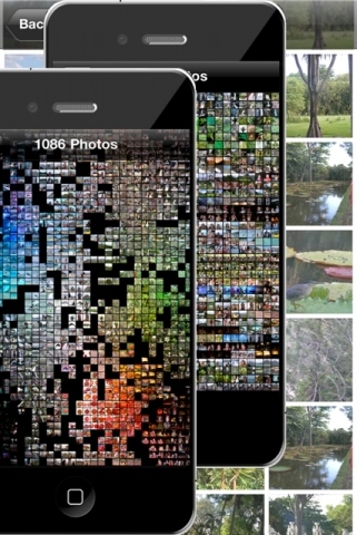 Fotos auf dem iPhone und iPad sofort sortieren und finden