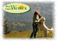 Urlaub mit Hund in Bayern Urlaub mit Hund in Bayern