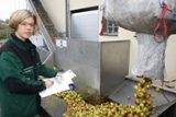 Diplom-Oecotrophologin Maike Pfannmüller bei der Qualitätskontrolle