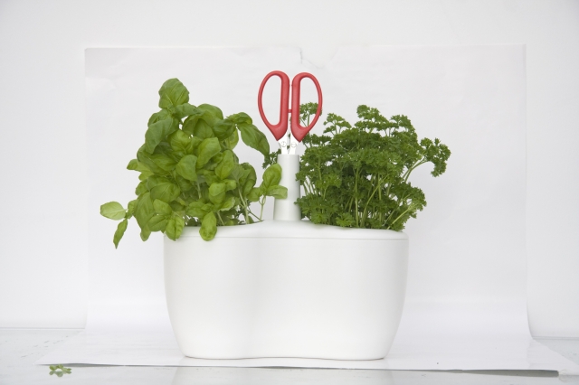PROPPER MACHT BIOPLASTIK KÜCHENTAUGLICH PROPPER MACHT BIOPLASTIK KÜCHENTAUGLICH