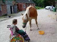Neugier auf beiden Seiten - Pferde helfen heilen! Neugier auf beiden Seiten - Pferde helfen heilen!