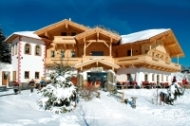 Seealm im Winter