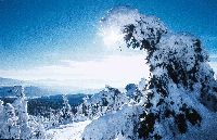 Winter am Arber