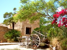 Mallorca, Finca, Ferienhaus Mallorca , Fincas,Ferienhäuser Mallorca, Ferienwohnung, Ferienfinca,Mall Mallorca, Finca, Ferienhaus Mallorca , Fincas,Ferienhäuser Mallorca, Ferienwohnung, Ferienfinca,Mall