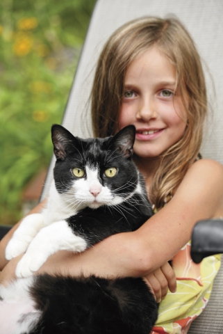 Wahre Katzenliebe Wahre Katzenliebe
