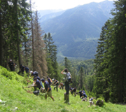 Aufforstung des Bergwaldes: Gelebte CSR unter freiem Himmel Aufforstung des Bergwaldes: Gelebte CSR unter freiem Himmel