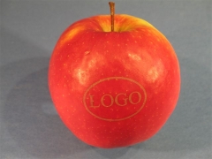 unser Laser Obst unser Laser Obst