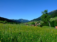 Allgäuer Pflanzenvielfalt und Heilkunde im Gunzesrieder Hochtal. Allgäuer Pflanzenvielfalt und Heilkunde im Gunzesrieder Hochtal.