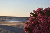 Blick aufs Meer in Jurmala Blick aufs Meer in Jurmala