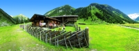 Hütte im Grünen