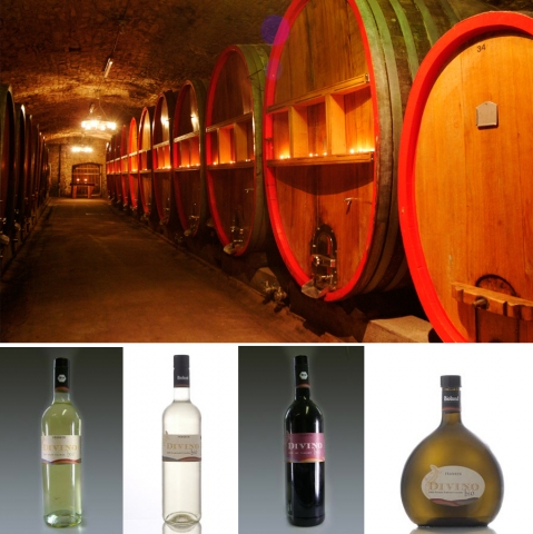 Mit Bio-Weinen von DIVINO Nordheim genussvoll in den Frühling Mit Bio-Weinen von DIVINO Nordheim genussvoll in den Frühling