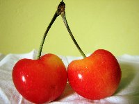 Die Passung der Lebenswirklichkeiten bestimmt den Erfolg des Online-Datings Die Passung der Lebenswirklichkeiten bestimmt den Erfolg des Online-Datings