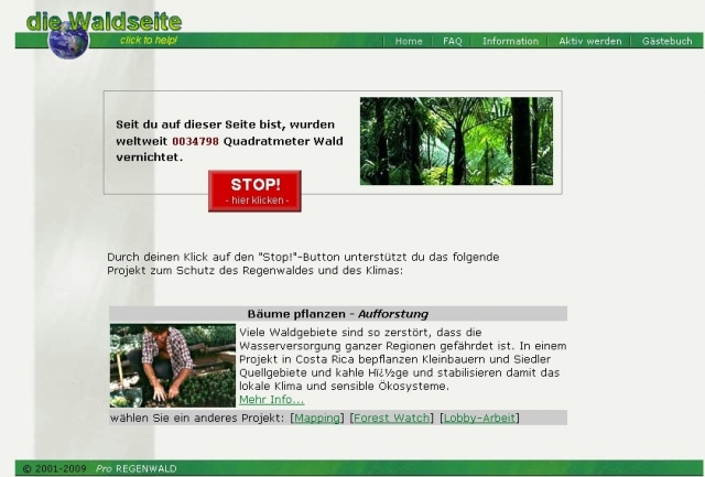 Regenwald retten mit der Waldseite und dem BaumSparVertrag