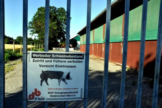 Was hat uns die bisherige Agrarpolitik beschert? Eine Bilanz Was hat uns die bisherige Agrarpolitik beschert? Eine Bilanz