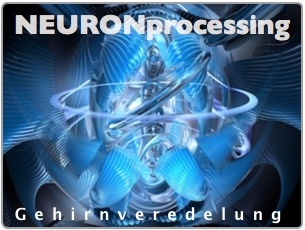 Man könnte versucht sein, NEURONprocessing mit