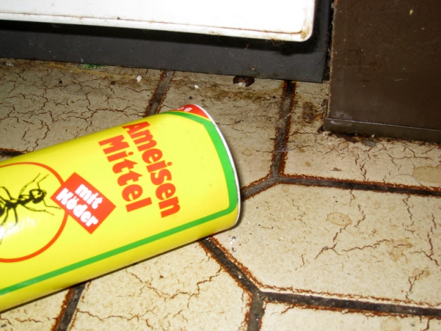 Wenn es zu Hause ungemütlich wird...