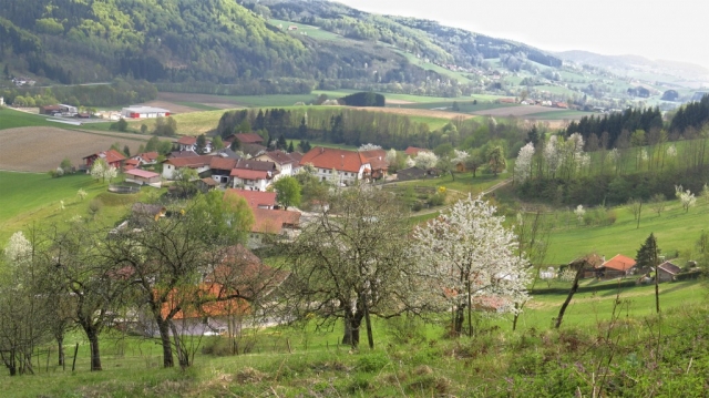 Sieger des Bilderwettbewerb von Streuobstwiesen.org stehen fest