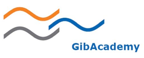 GibAcademys neue Workshop Angebote: Führungskräfte für die Zukunft stärken