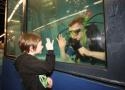 Freizeit-Messe Nürnberg stimmt auf den Frühling ein Freizeit-Messe Nürnberg stimmt auf den Frühling ein