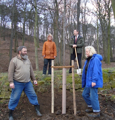 Ein Baum mit Charakter Ein Baum mit Charakter