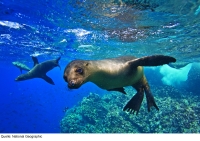 Expeditionskreuzfahrt Galapagos Expeditionskreuzfahrt Galapagos